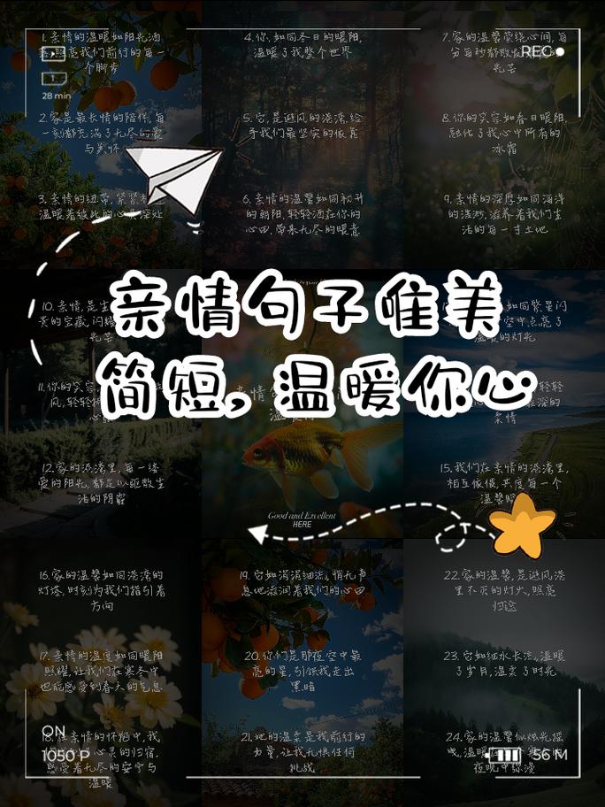 亲情信任,亲情信任的句子