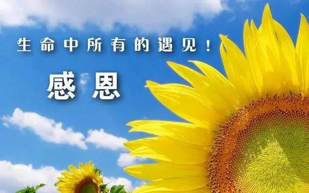 感恩之心,感恩之心常怀于心