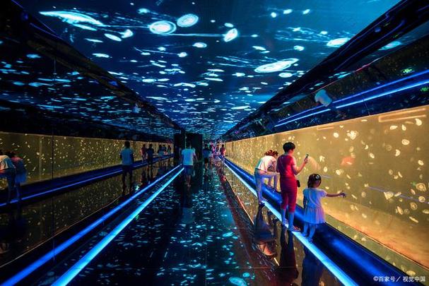 海上世界,海上世界有什么好玩的地方