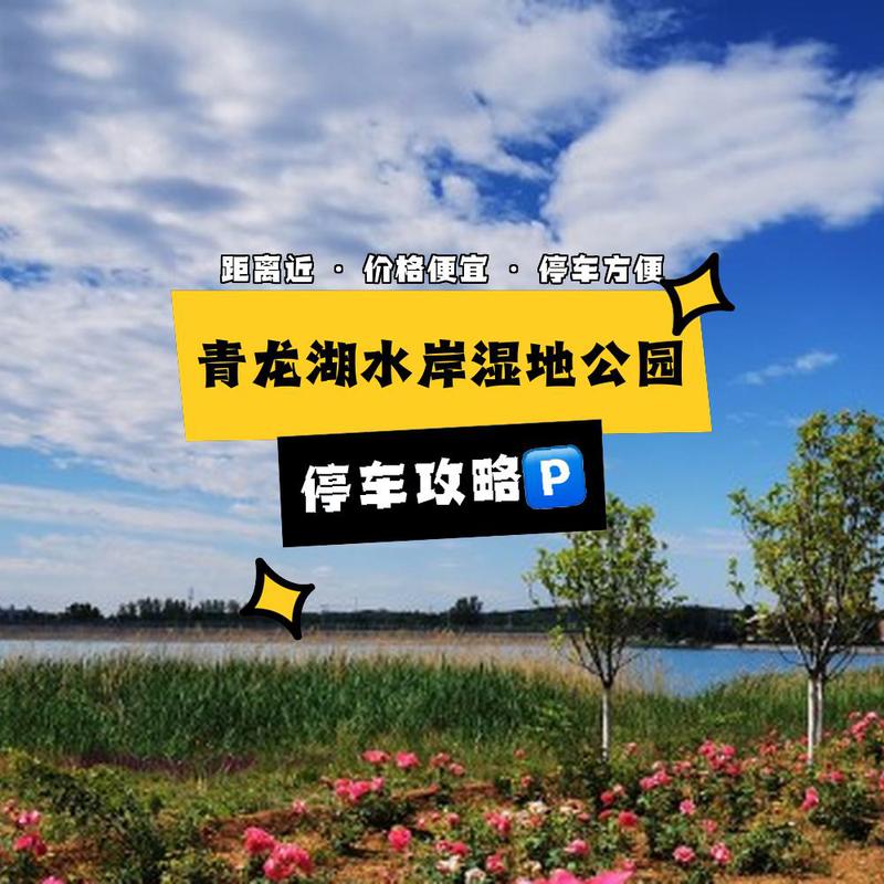 详细阅读:青龙湖湿地公园,青龙湖湿地公园一圈有多少公里 青龙湖湿地公园,青龙湖湿地公园一圈有多少公里