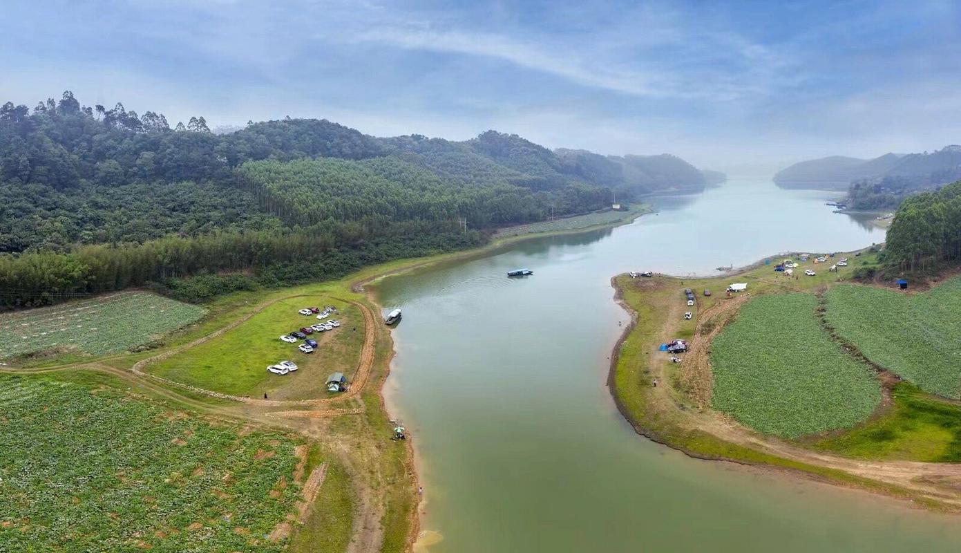 凤凰湖湿地公园,凤凰湖湿地公园简介
