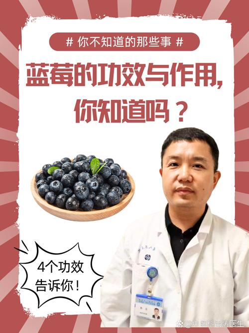 详细阅读:蓝莓,蓝莓的功效与作用 蓝莓,蓝莓的功效与作用