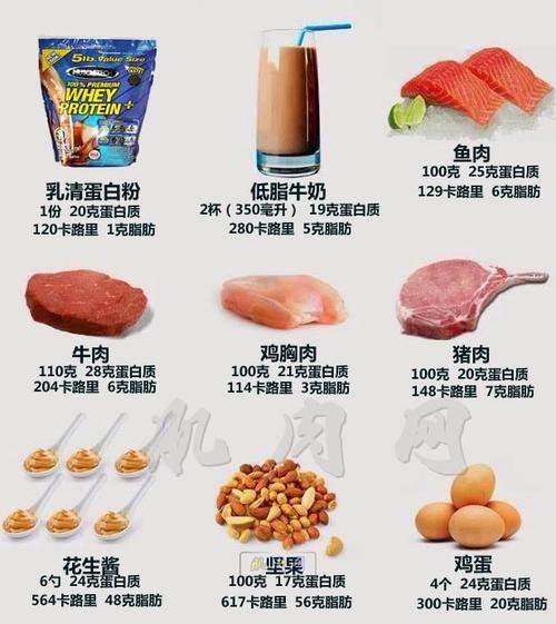 详细阅读:蛋白质,蛋白质高的食物有哪些 蛋白质,蛋白质高的食物有哪些
