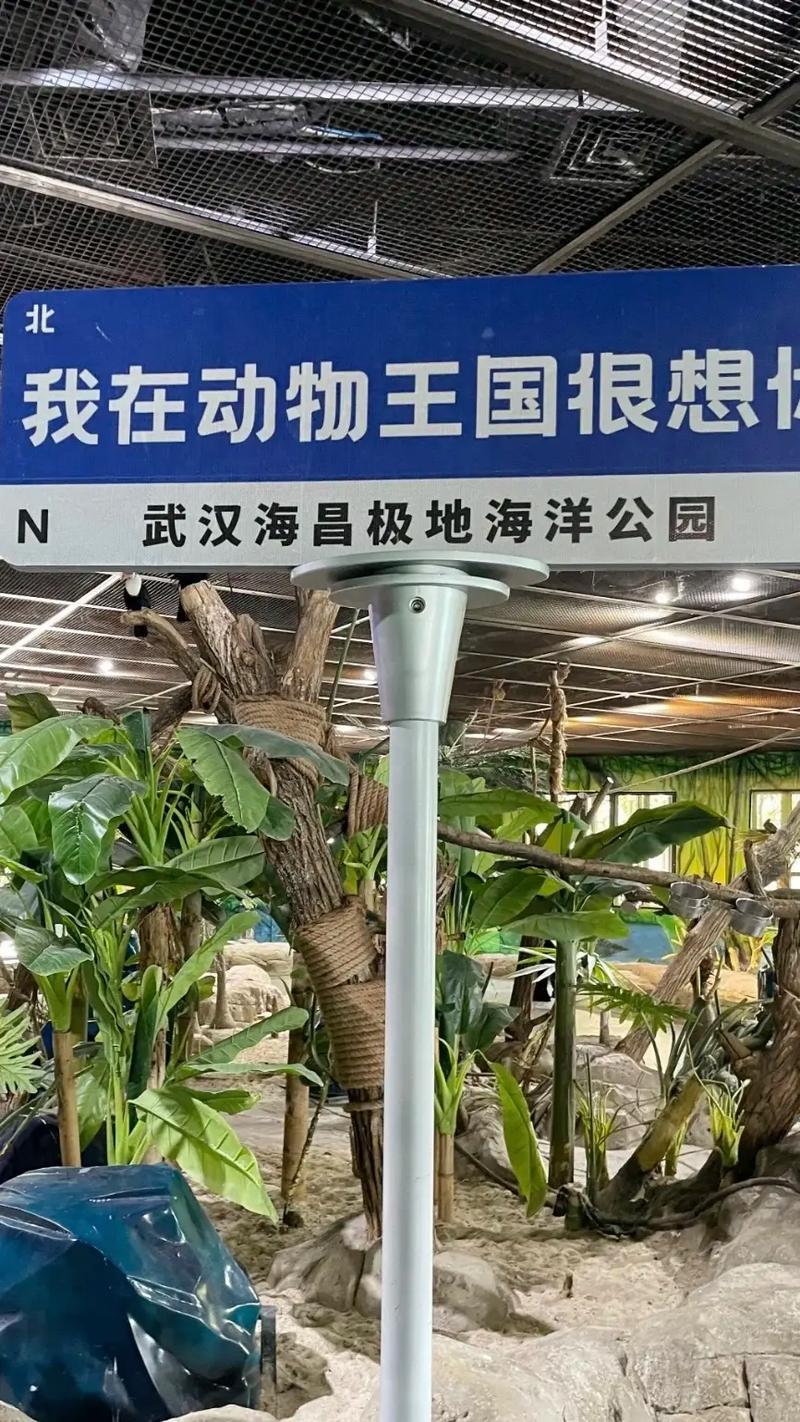 详细阅读:海昌极地海洋公园,海昌极地海洋公园好玩吗 海昌极地海洋公园,海昌极地海洋公园好玩吗