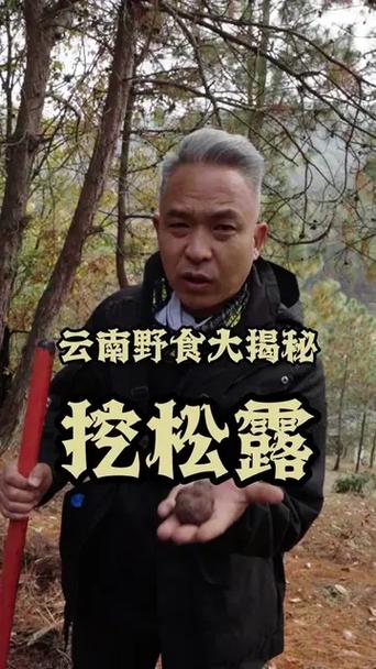 详细阅读:地方特色,地方特色美食 地方特色,地方特色美食