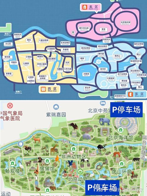 详细阅读:北京动物园,北京动物园开放时间及门票 北京动物园,北京动物园开放时间及门票