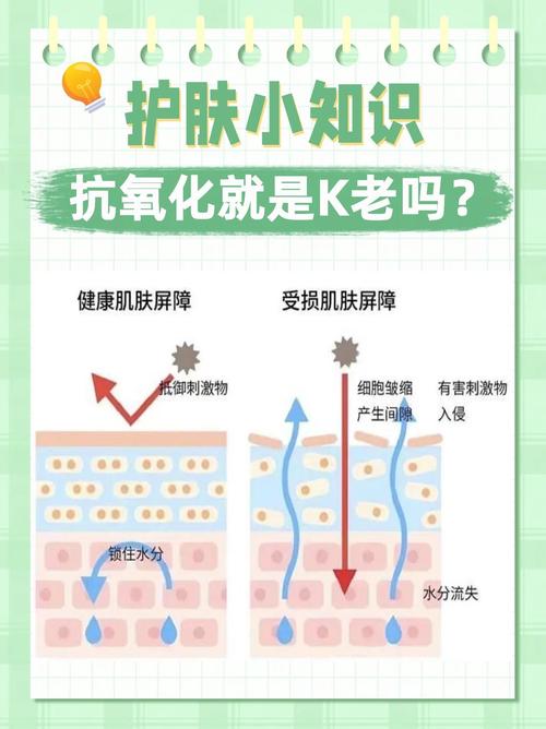 肌肤抗氧化,肌肤抗氧化是什么
