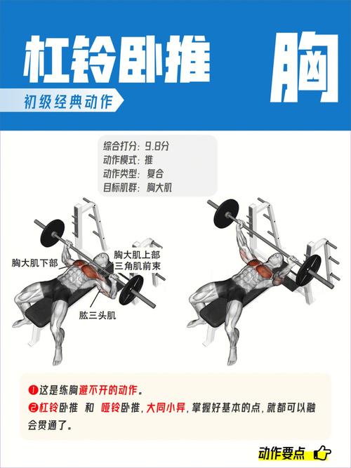 杠铃训练,杠铃训练动作大全