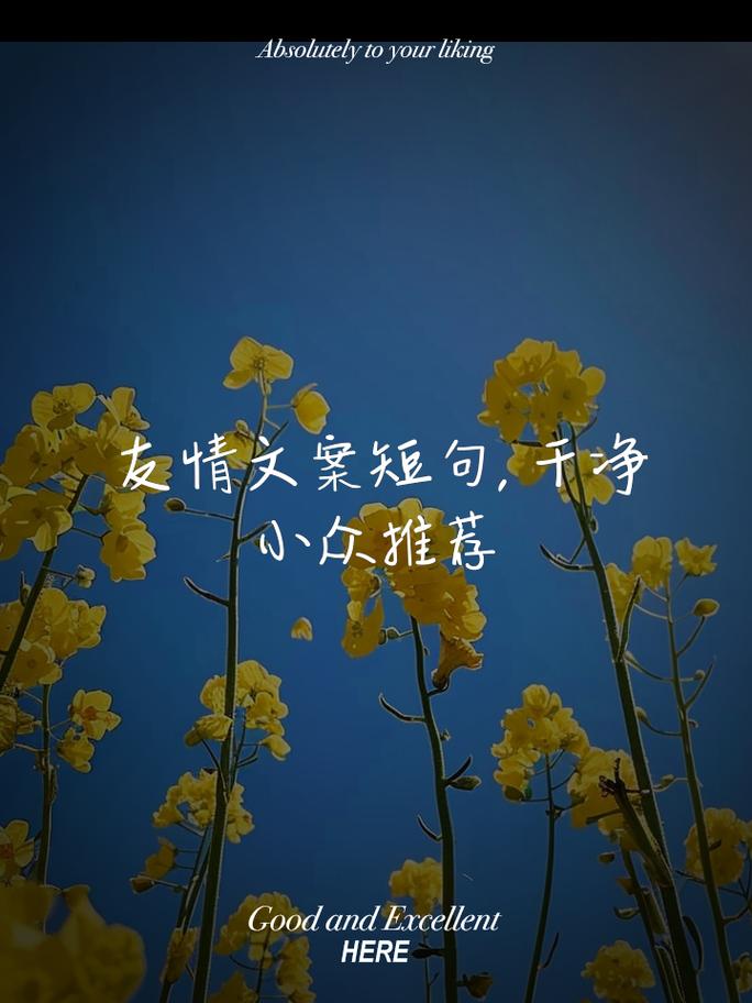 友情文案,友情文案短句干净治愈
