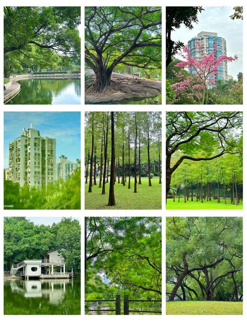 晓港公园,晓港公园景点介绍