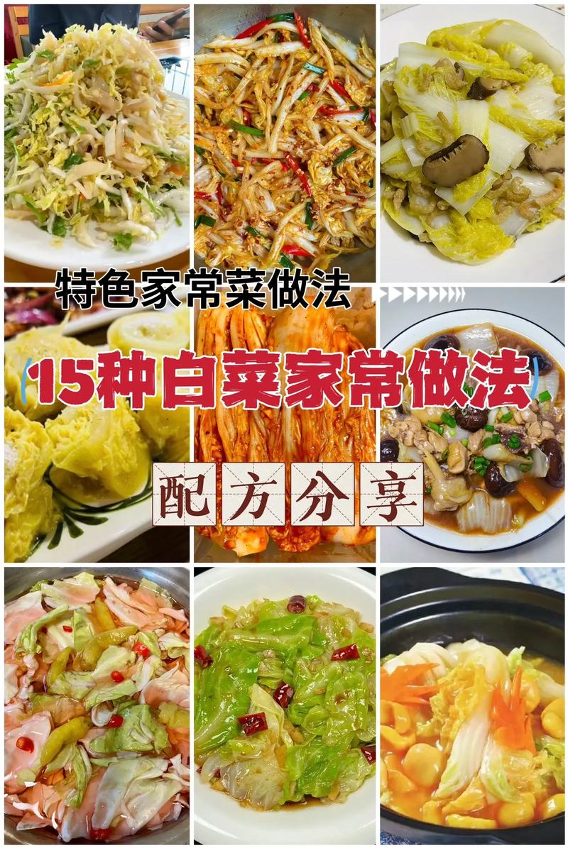 白菜,白菜的功效与作用
