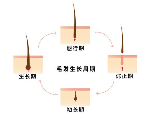 身体脱毛方法与选择,身体脱毛方法与选择