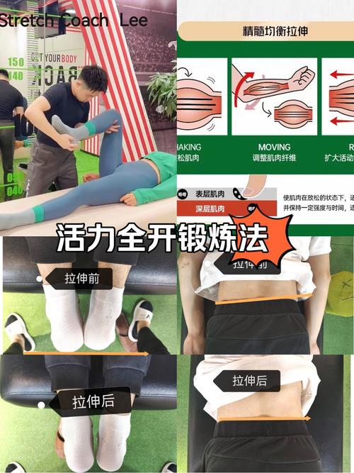 拉伸与运动表现,拉伸与运动表现的区别