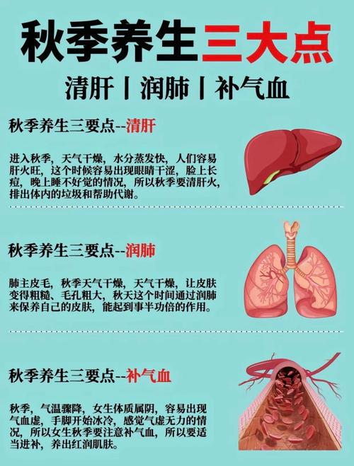 运动养生原则,运动养生原则有哪些?